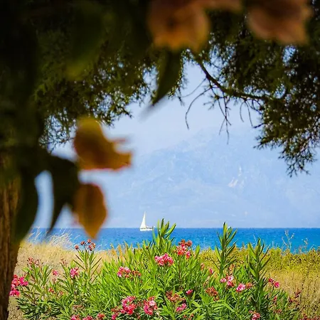 Driftwood Beach House, Corfu
