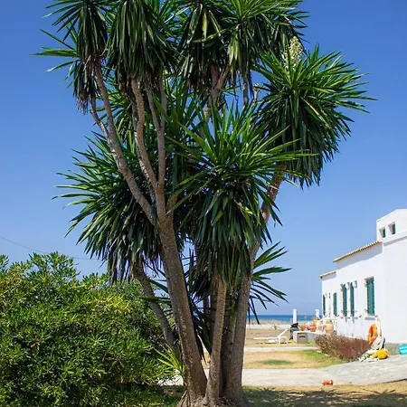 Holiday home Driftwood Beach House, Corfu *